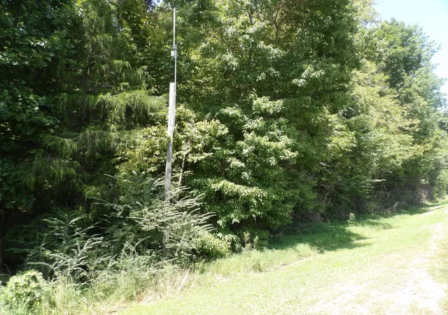 Photo 3 of Sale Pending at 0 Highway 13 S, Waverly, TN 37185 | MLS# 3513740 | Listing updated on 2026-08-31