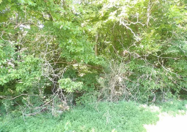 Photo 4 of Sale Pending at 0 Highway 13 S, Waverly, TN 37185 | MLS# 3513740 | Listing updated on 2026-08-31