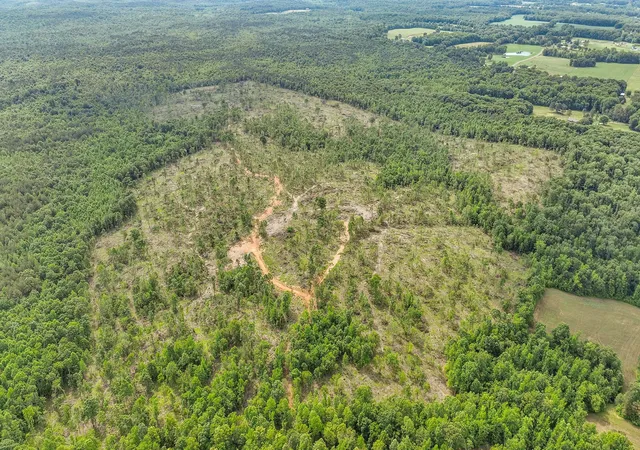 3rd image of 0 Wynn Rd, Big Sandy, TN 38221 | MLS# 3225069
