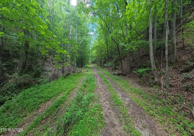 1st image of 195 Sherwood Lane, Harriman, TN 37748 | MLS# 3225192