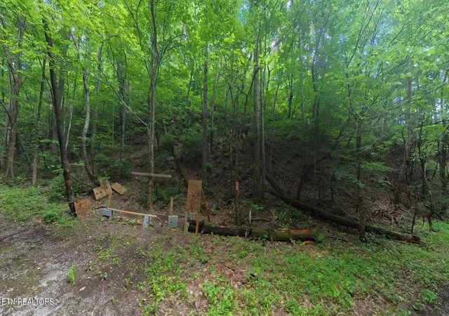 17th image of 195 Sherwood Lane, Harriman, TN 37748 | MLS# 3225192