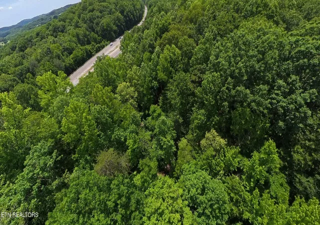 2nd image of 195 Sherwood Lane, Harriman, TN 37748 | MLS# 3225192