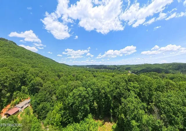 3rd image of 195 Sherwood Lane, Harriman, TN 37748 | MLS# 3225192
