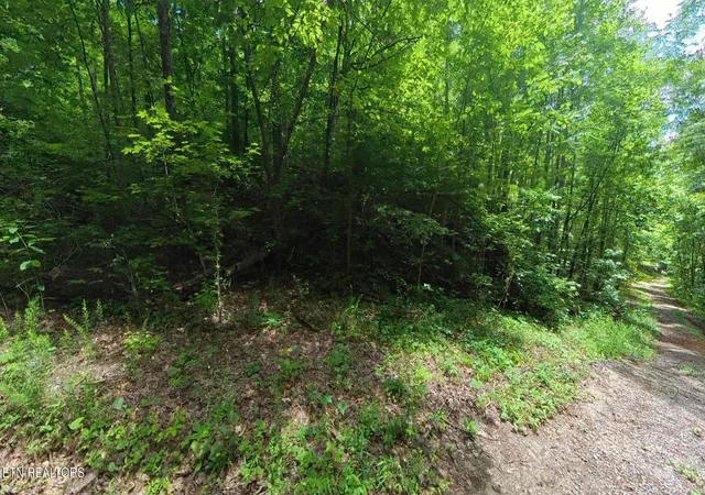 5th image of 195 Sherwood Lane, Harriman, TN 37748 | MLS# 3225192