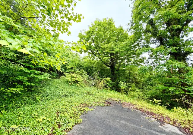 Homes for sale in Tellico Plains, TN | 0 Willowbrook Dr, Tellico Plains, TN 37385 | MLS# 3225246