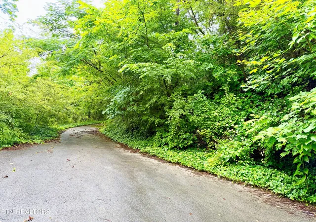 Homes for sale in Tellico Plains, TN | 0 Willowbrook Dr, Tellico Plains, TN 37385 | MLS# 3225246