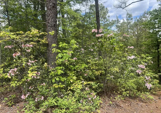 24th image of 7 Skyline Dr, Turtletown, TN 37391 | MLS# 3336946