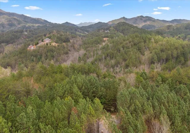 Photo 3 of Land for sale at 7 Skyline Dr, Turtletown, TN 37391 | MLS# 3336946 | Listing updated on 2026-10-09