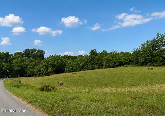 1st image of 0 Lot 20 Autumn Woods Tr, Sweetwater, TN 37874 | MLS# 3336109