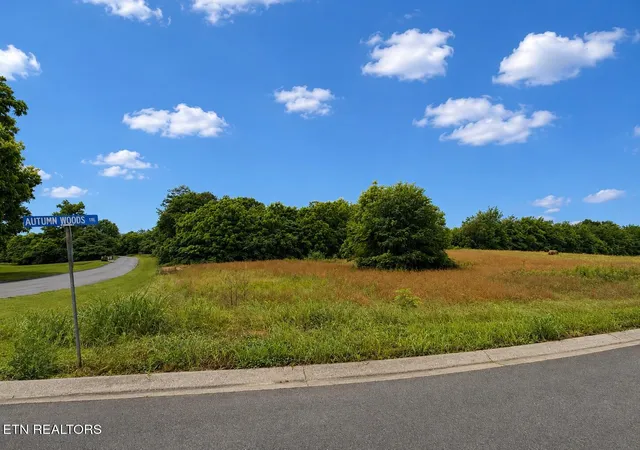 Photo 3 of Land for sale at 0 Lot 20 Autumn Woods Tr, Sweetwater, TN 37874 | MLS# 3336109 | Listing updated on 2026-09-04