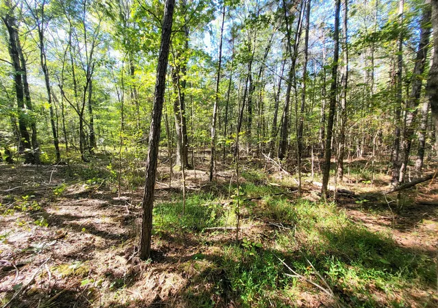 Homes for sale in Sparta, TN | 3 Coal Banks Rd, Sparta, TN 38583 | MLS# 3225578