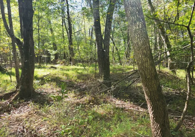 Homes for sale in Sparta, TN | 3 Coal Banks Rd, Sparta, TN 38583 | MLS# 3225578