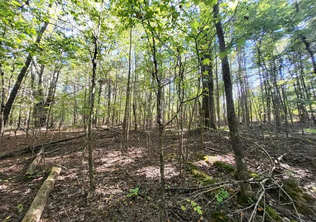 Homes for sale in Sparta, TN | 3 Coal Banks Rd, Sparta, TN 38583 | MLS# 3225578