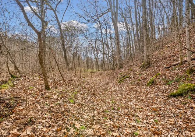 Photo 3 of Land for sale at 0 Harrell Ln, Clarksville, TN 37043 | MLS# 3611419 | Listing updated on 2026-10-04