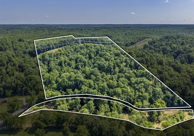 Homes for sale in Mc Ewen, TN | 0 East Blue Creek Road, Mc Ewen, TN 37101 | MLS# 3226518