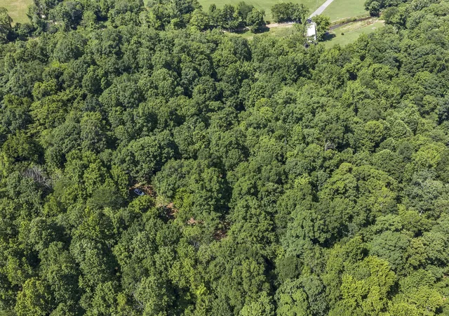 Homes for sale in Mc Ewen, TN | 0 East Blue Creek Road, Mc Ewen, TN 37101 | MLS# 3226518