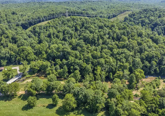 Homes for sale in Mc Ewen, TN | 0 East Blue Creek Road, Mc Ewen, TN 37101 | MLS# 3226518