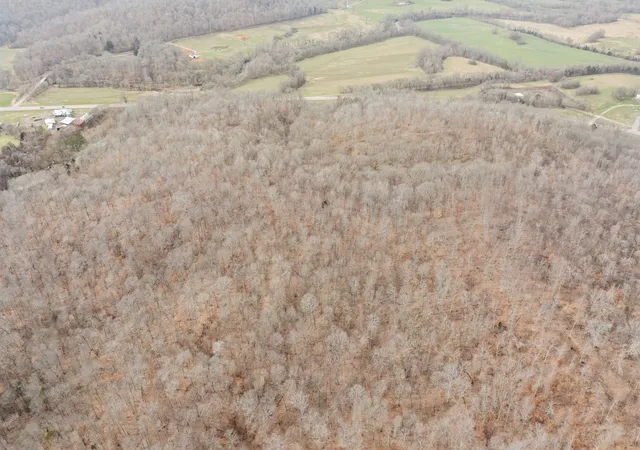 Photo 4 of Land for sale at 0 Highway 149, Erin, TN 37061 | MLS# 3226077 | Listing updated on 2026-06-01