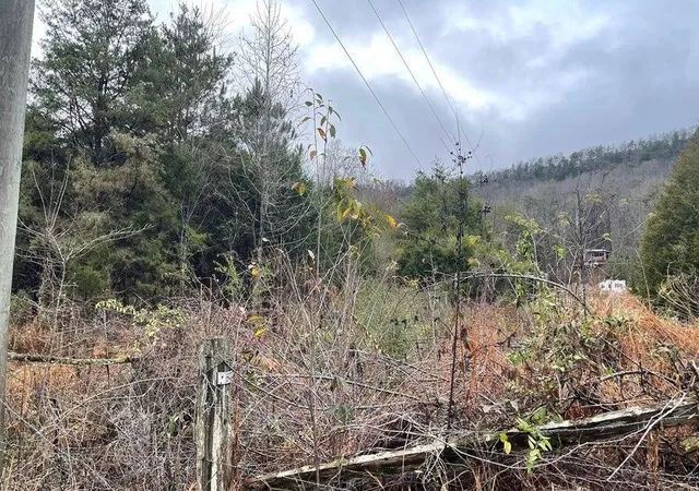 1st image of 0 Reagan Valley Road, Madisonville, TN 37354 | MLS# 3226096