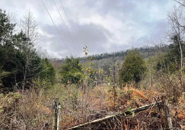3rd image of 0 Reagan Valley Road, Madisonville, TN 37354 | MLS# 3226096