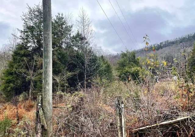 4th image of 0 Reagan Valley Road, Madisonville, TN 37354 | MLS# 3226096