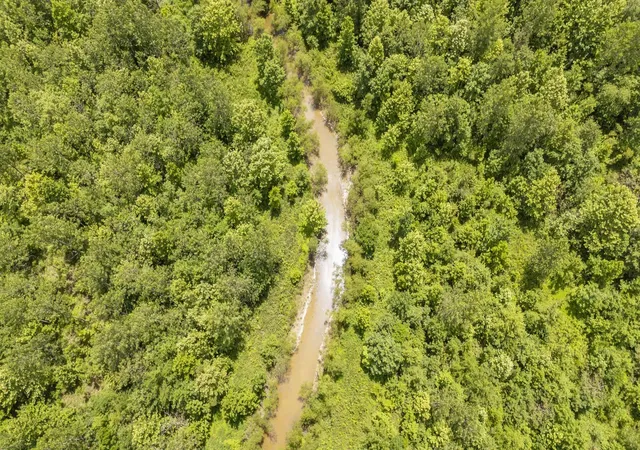 Photo 3 of Land for sale at 904 Capooth Rd, Ramer, TN 38367 | MLS# 3531424 | Listing updated on 2026-10-05