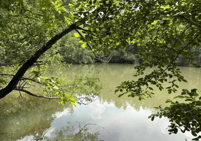 Photo 4 of Land for sale at 904 Capooth Rd, Ramer, TN 38367 | MLS# 3531424 | Listing updated on 2026-10-05