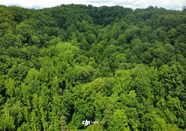 3rd image of 4998 Tranham Rd, Whites Creek, TN 37189 | MLS# 3228522
