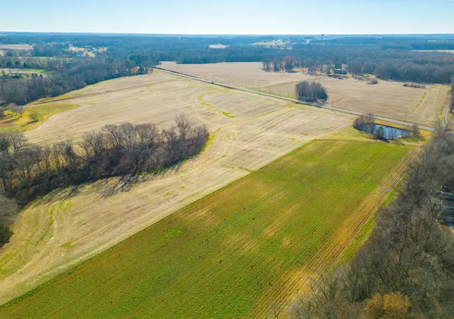 Homes for sale in Cedar Hill, TN | 0 Hwy 41 N, Cedar Hill, TN 37032 | MLS# 3243933