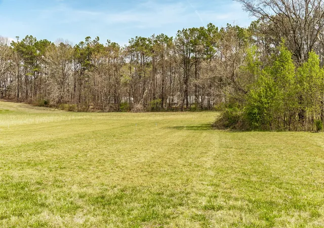 Homes for sale in Greenbrier, TN | 7535 Swift Rd, Greenbrier, TN 37073 | MLS# 3226509