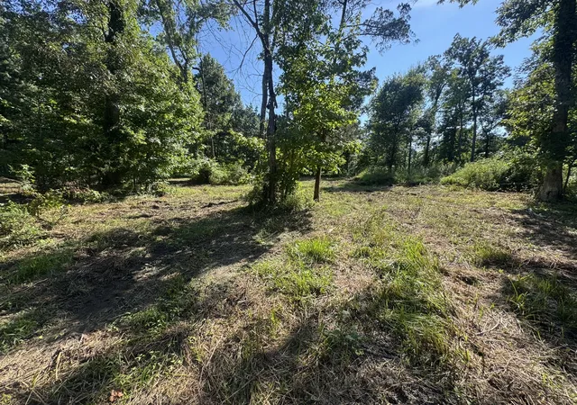 12th image of 0 Spur Rd, Decherd, TN 37324 | MLS# 3226514
