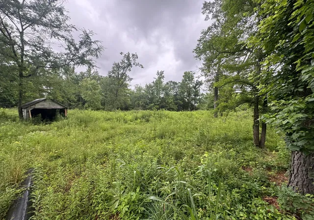 Homes for sale in Decherd, TN | 0 Spur Rd, Decherd, TN 37324 | MLS# 3226514