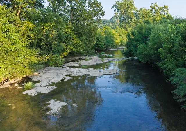 2nd image of 0 Ostella Rd, Cornersville, TN 37047 | MLS# 3228736