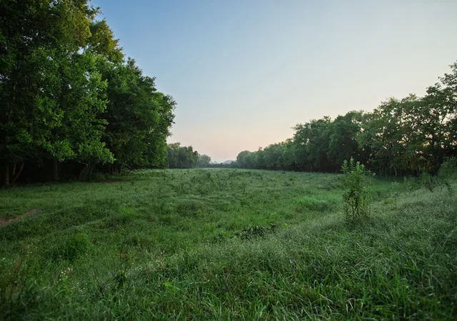 5th image of 0 Ostella Rd, Cornersville, TN 37047 | MLS# 3228736