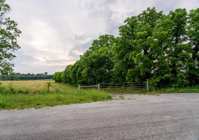 42nd image of 0 Ostella Rd, Cornersville, TN 37047 | MLS# 3228736