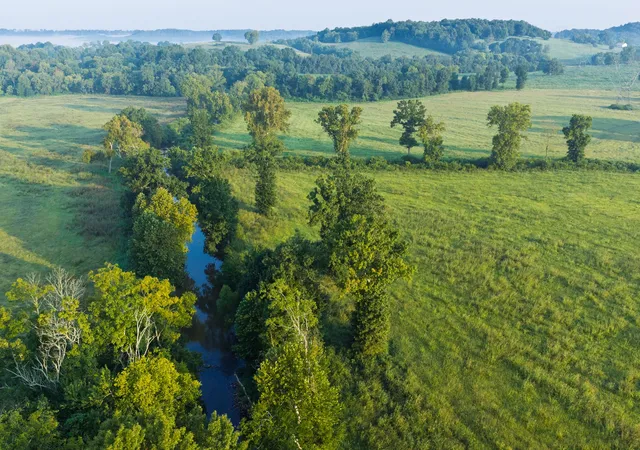 3rd image of 0 Ostella Rd, Cornersville, TN 37047 | MLS# 3228736