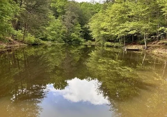 45th image of 188 Dalton, Tellico Plains, TN 37385 | MLS# 3226571