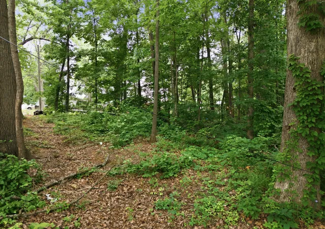 10th image of 3811 Old Greenbrier Pike, Springfield, TN 37172 | MLS# 3260453
