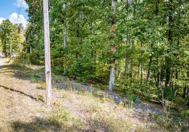 Homes for sale in Sugar Tree, TN | 0 Ridgeway Dr, Sugar Tree, TN 38380 | MLS# 3228337