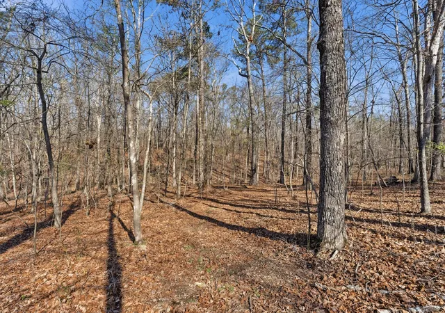 42nd image of 91 Whispering Oaks St, Summertown, TN 38483 | MLS# 3228406