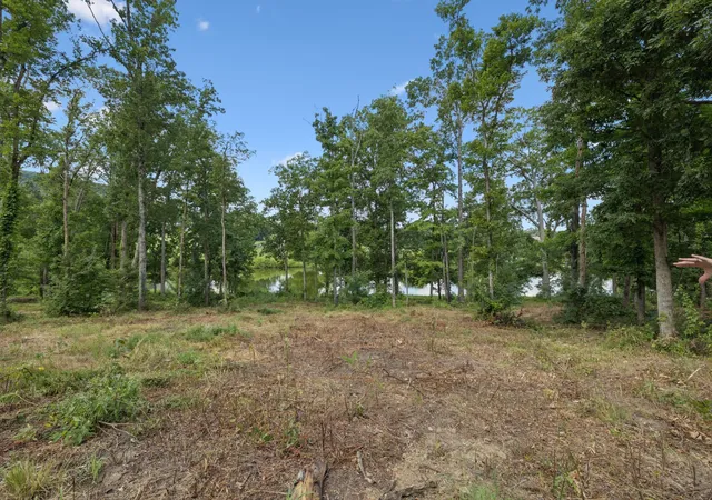 4th image of 1411 Bell Meadow Ct, Nolensville, TN 37135 | MLS# 3260022