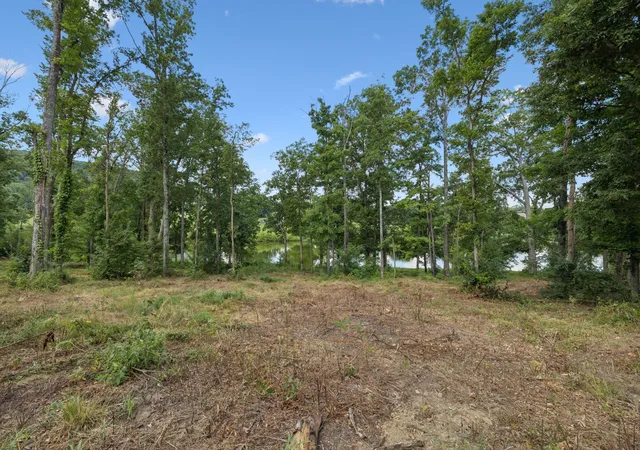 5th image of 1411 Bell Meadow Ct, Nolensville, TN 37135 | MLS# 3260022