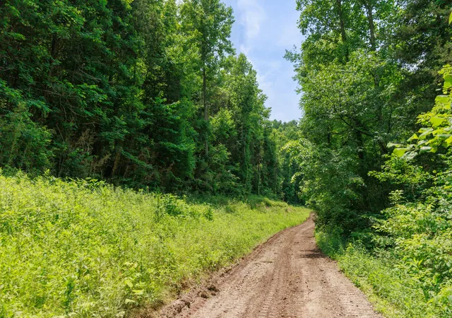 Homes for sale in Beechgrove, TN | 582 Cedar Bend Rd, Beechgrove, TN 37018 | MLS# 3228462