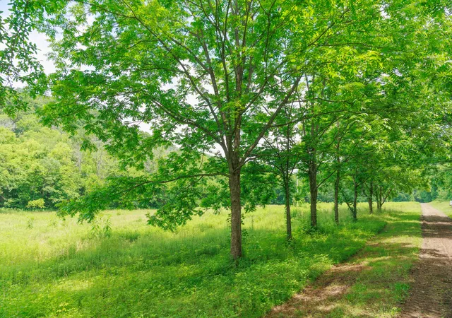 Photo 3 of Land for sale at 582 Cedar Bnd Rd, Beechgrove, TN 37018 | MLS# 3228462 | Listing updated on 2026-08-07