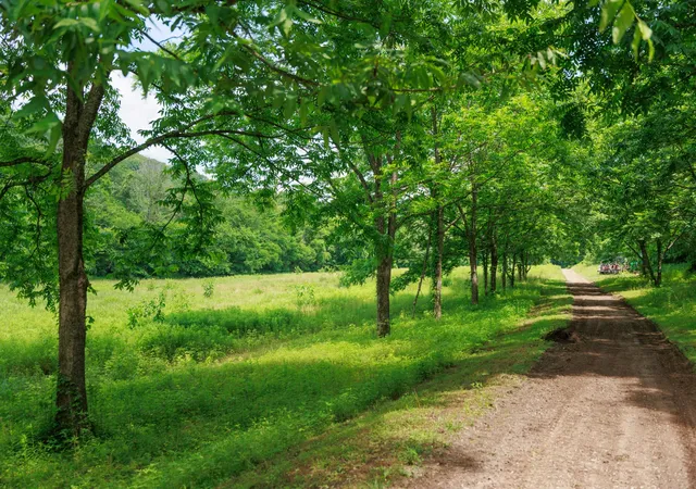 Photo 3 of Land for sale at 582 Cedar Bnd Rd, Beechgrove, TN 37018 | MLS# 3228462 | Listing updated on 2026-08-07
