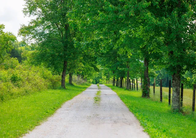 Photo 2 of Land for sale at 8100 Eaton Holw Rd, Christiana, TN 37037 | MLS# 3228473 | Listing updated on 2026-08-04