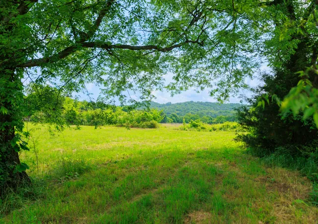 Photo 4 of Land for sale at 8100 Eaton Holw Rd, Christiana, TN 37037 | MLS# 3228473 | Listing updated on 2026-08-04