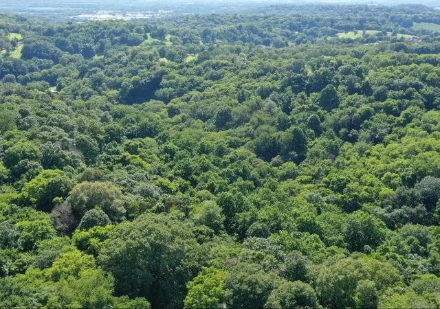Photo 3 of Land for sale at 0 Mcdonald Loop, Dickson, TN 37055 | MLS# 3228486 | Listing updated on 2026-08-07