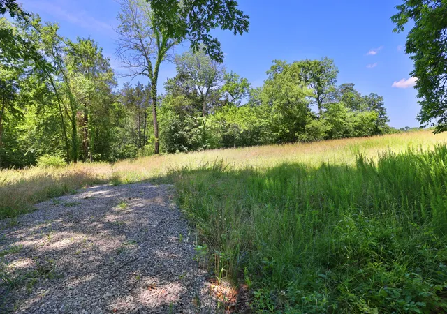 Photo 3 of Land for sale at 0 Wallace Rd, Gallatin, TN 37066 | MLS# 3232063 | Listing updated on 2026-08-23