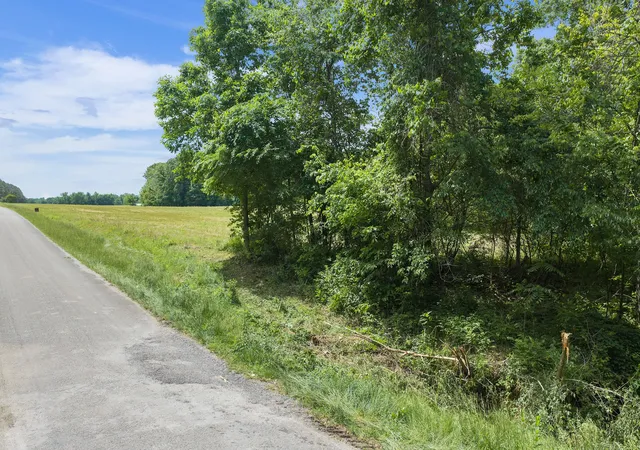 Photo 3 of Land for sale at 0 Mann Rd, Hollow Rock, TN 38342 | MLS# 3228608 | Listing updated on 2026-10-01